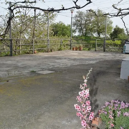 Tra Mare E Natura Dell'etna Casa vacanze Piedimonte Etneo